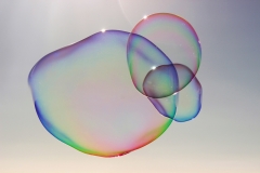 Bubble Series